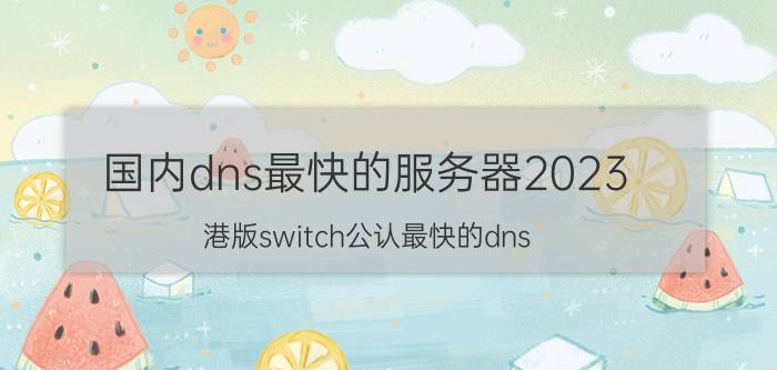 国内dns最快的服务器2023 港版switch公认最快的dns？